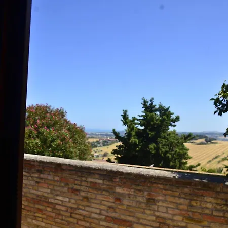 Libera Idea Art Run Space