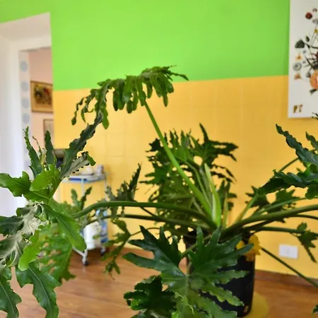 アパート Libera Idea Art Run Space